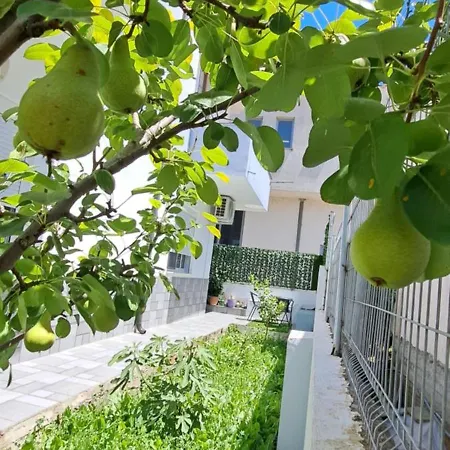 Likaj Berat
